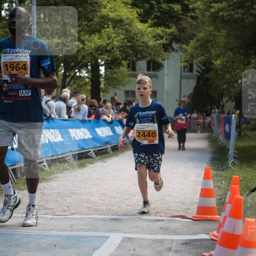 09.05.2026 - Störlauf H.Heesch http://msf.ph/oto/9676621 09.05.2026 15:43:36 Ziel 2026, 1964, 2440 meine-sportfotos.de