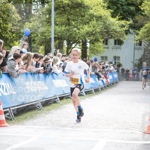 09.05.2026 - Störlauf H.Heesch http://msf.ph/oto/9677465 09.05.2026 15:21:31 Ziel 2445 meine-sportfotos.de