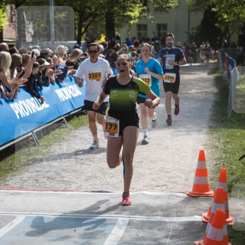 09.05.2026 - Störlauf H.Heesch http://msf.ph/oto/9678287 09.05.2026 15:28:14 Ziel 2267, 377, 2376 meine-sportfotos.de