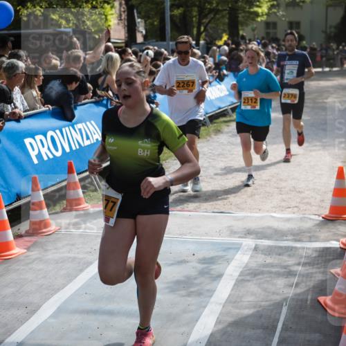 09.05.2026 - Störlauf H.Heesch http://msf.ph/oto/9678292 09.05.2026 15:28:15 Ziel 77, 2267, 2312, 2376 meine-sportfotos.de