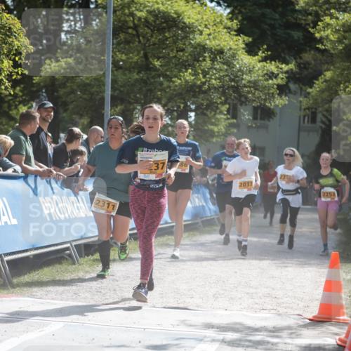 09.05.2026 - Störlauf H.Heesch http://msf.ph/oto/9678528 09.05.2026 15:29:38 Ziel 2311, 237, 86, 2037, 2253 meine-sportfotos.de
