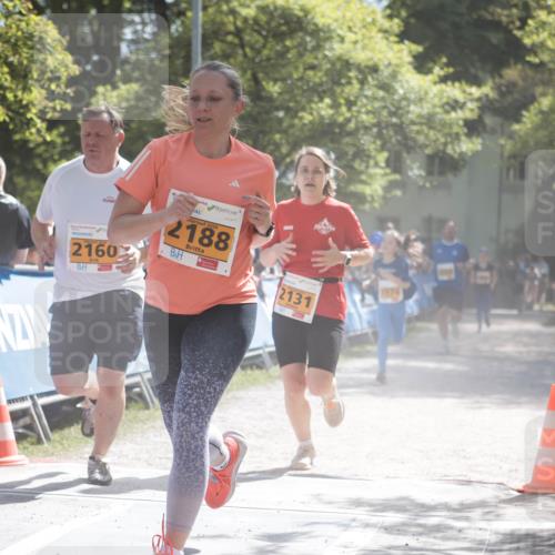 09.05.2026 - Störlauf H.Heesch http://msf.ph/oto/9678687 09.05.2026 15:30:28 Ziel 2160, 2026, 2188, 2131 meine-sportfotos.de