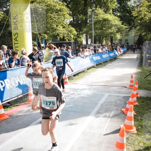 09.05.2026 - Störlauf H.Heesch http://msf.ph/oto/9679338 09.05.2026 16:35:38 Ziel 337, 3375, 3089 meine-sportfotos.de