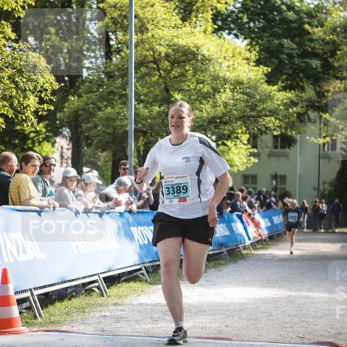 09.05.2026 - Störlauf H.Heesch http://msf.ph/oto/9679572 09.05.2026 16:42:23 Ziel 3389 meine-sportfotos.de