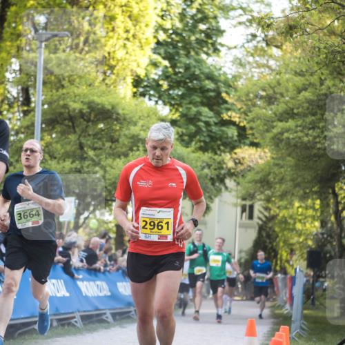 09.05.2026 - Störlauf H.Heesch http://msf.ph/oto/9681392 09.05.2026 17:27:45 Ziel 2026, 2687, 3664, 2961 meine-sportfotos.de
