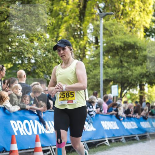 09.05.2026 - Störlauf H.Heesch http://msf.ph/oto/9681443 09.05.2026 17:26:50 Ziel 2026, 2585 meine-sportfotos.de