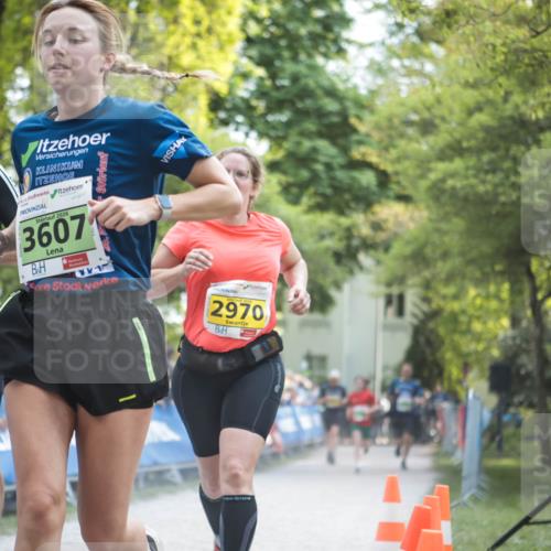 09.05.2026 - Störlauf H.Heesch http://msf.ph/oto/9681639 09.05.2026 17:31:06 Ziel 264, 2026, 3607, 2970 meine-sportfotos.de