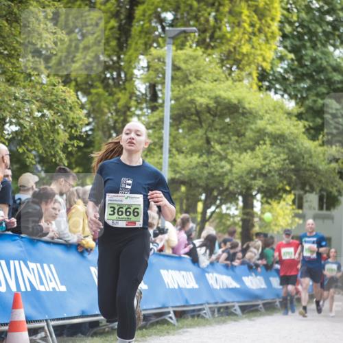 09.05.2026 - Störlauf H.Heesch http://msf.ph/oto/9681652 09.05.2026 17:31:15 Ziel 2026, 3666 meine-sportfotos.de