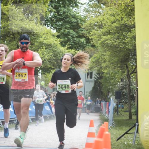 09.05.2026 - Störlauf H.Heesch http://msf.ph/oto/9681680 09.05.2026 17:31:36 Ziel 4011, 2967, 3646 meine-sportfotos.de