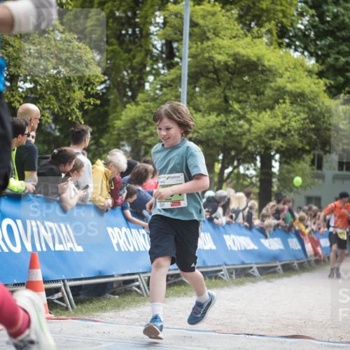 09.05.2026 - Störlauf H.Heesch http://msf.ph/oto/9681907 09.05.2026 17:35:06 Ziel 771, 3758 meine-sportfotos.de
