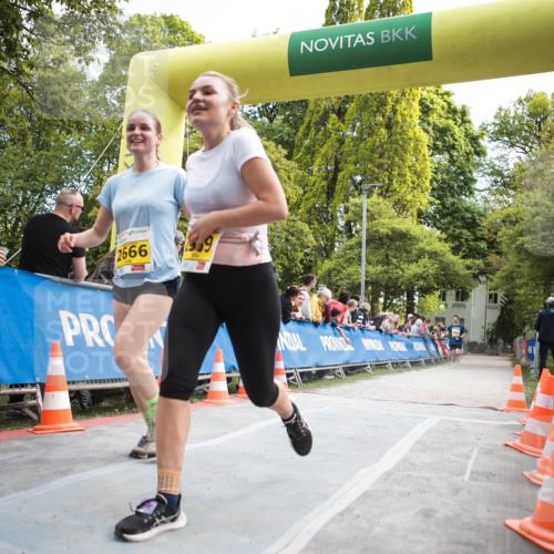 09.05.2026 - Störlauf H.Heesch http://msf.ph/oto/9682205 09.05.2026 17:40:43 Ziel 2666 meine-sportfotos.de