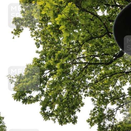 09.05.2026 - Störlauf H.Heesch http://msf.ph/oto/9684249 09.05.2026 19:26:46 Ziel  meine-sportfotos.de