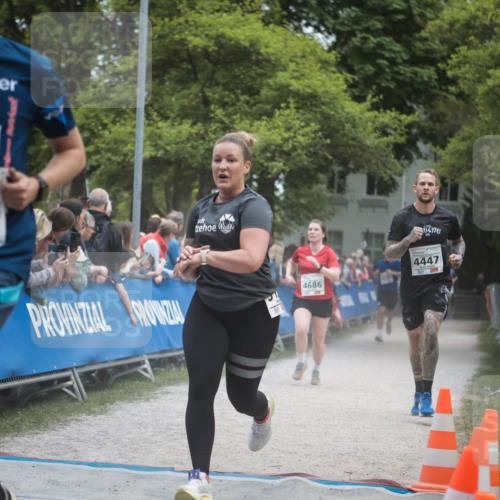 09.05.2026 - Störlauf H.Heesch http://msf.ph/oto/9684768 09.05.2026 18:54:44 Ziel 4267, 4686, 4447 meine-sportfotos.de