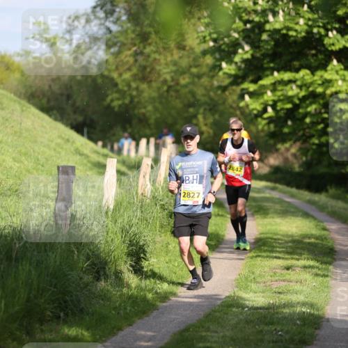 09.05.2026 - Störlauf Andreas Tolksdorf http://msf.ph/oto/9686298 09.05.2026 16:16:00 Laufen 2827, 2842 meine-sportfotos.de