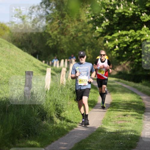 09.05.2026 - Störlauf Andreas Tolksdorf http://msf.ph/oto/9686300 09.05.2026 16:16:00 Laufen 2827, 2842 meine-sportfotos.de
