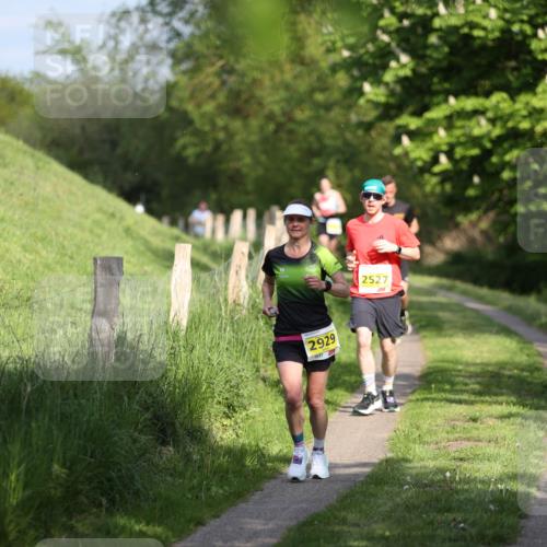 09.05.2026 - Störlauf Andreas Tolksdorf http://msf.ph/oto/9686623 09.05.2026 16:19:14 Laufen 2929, 2527 meine-sportfotos.de