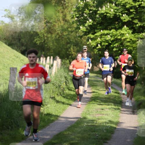 09.05.2026 - Störlauf Andreas Tolksdorf http://msf.ph/oto/9687673 09.05.2026 16:25:34 Laufen 3024, 2970 meine-sportfotos.de