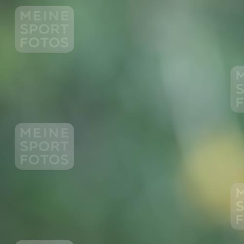 09.05.2026 - Störlauf Andreas Tolksdorf http://msf.ph/oto/9689103 09.05.2026 15:43:05 Laufen  meine-sportfotos.de