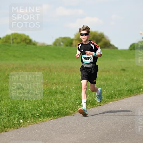 10.05.2026 - 8. Wedeler Halbmarathon Dr. Thomas Lammeyer http://msf.ph/oto/9691966 10.05.2026 11:14:40 Laufen 2080 meine-sportfotos.de
