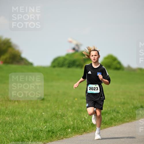 10.05.2026 - 8. Wedeler Halbmarathon Dr. Thomas Lammeyer http://msf.ph/oto/9692277 10.05.2026 11:15:28 Laufen 2023 meine-sportfotos.de