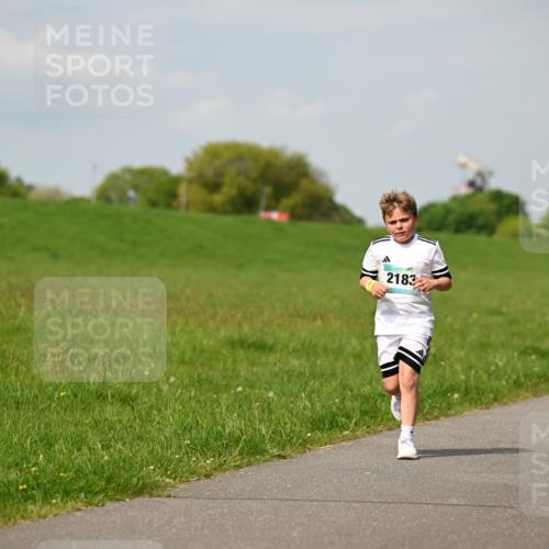 10.05.2026 - 8. Wedeler Halbmarathon Dr. Thomas Lammeyer http://msf.ph/oto/9693642 10.05.2026 11:18:15 Laufen 2183 meine-sportfotos.de