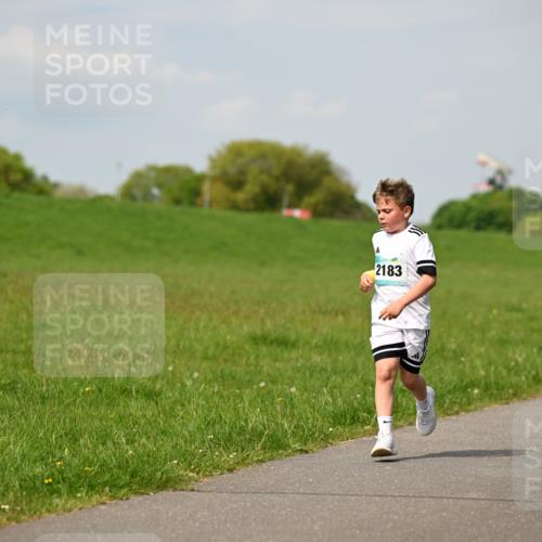 10.05.2026 - 8. Wedeler Halbmarathon Dr. Thomas Lammeyer http://msf.ph/oto/9693646 10.05.2026 11:18:15 Laufen 2183 meine-sportfotos.de