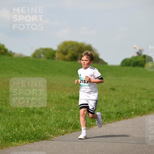 10.05.2026 - 8. Wedeler Halbmarathon Dr. Thomas Lammeyer http://msf.ph/oto/9693658 10.05.2026 11:18:16 Laufen 2185 meine-sportfotos.de