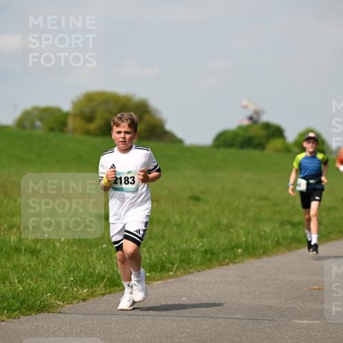 10.05.2026 - 8. Wedeler Halbmarathon Dr. Thomas Lammeyer http://msf.ph/oto/9693660 10.05.2026 11:18:16 Laufen 2183 meine-sportfotos.de