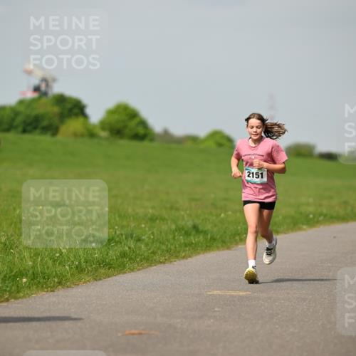10.05.2026 - 8. Wedeler Halbmarathon Dr. Thomas Lammeyer http://msf.ph/oto/9693706 10.05.2026 11:18:20 Laufen 2151 meine-sportfotos.de
