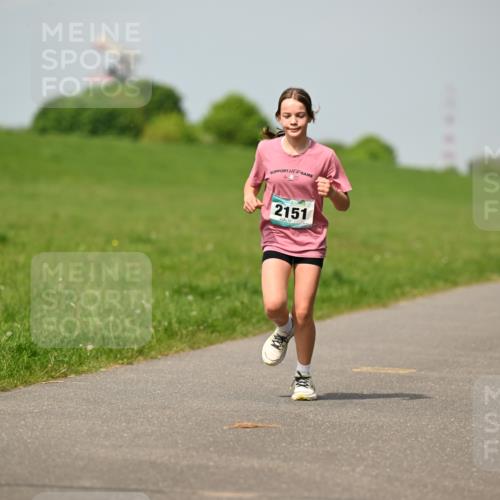 10.05.2026 - 8. Wedeler Halbmarathon Dr. Thomas Lammeyer http://msf.ph/oto/9693739 10.05.2026 11:18:22 Laufen 2151 meine-sportfotos.de