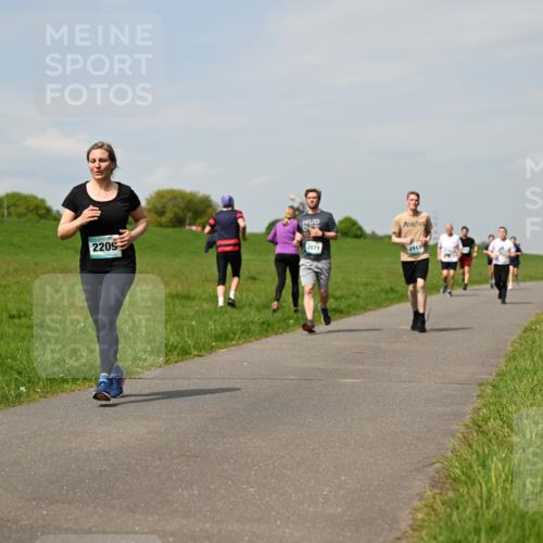 10.05.2026 - 8. Wedeler Halbmarathon Dr. Thomas Lammeyer http://msf.ph/oto/9694062 10.05.2026 11:18:53 Laufen 2205, 2071, 2115 meine-sportfotos.de