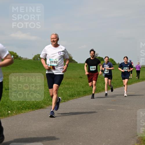 10.05.2026 - 8. Wedeler Halbmarathon Dr. Thomas Lammeyer http://msf.ph/oto/9694178 10.05.2026 11:19:02 Laufen 2192, 2229, 2155, 2147 meine-sportfotos.de