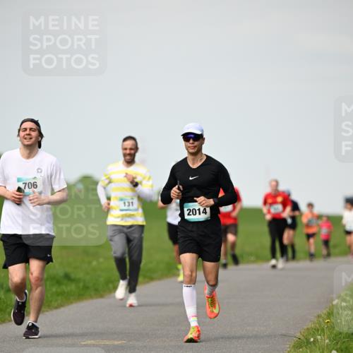 10.05.2026 - 8. Wedeler Halbmarathon Dr. Thomas Lammeyer http://msf.ph/oto/9695801 10.05.2026 11:22:07 Laufen 706, 131, 2014 meine-sportfotos.de