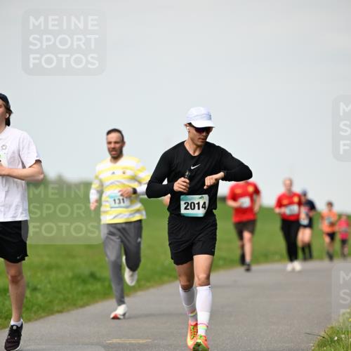 10.05.2026 - 8. Wedeler Halbmarathon Dr. Thomas Lammeyer http://msf.ph/oto/9695807 10.05.2026 11:22:08 Laufen 131, 2014 meine-sportfotos.de