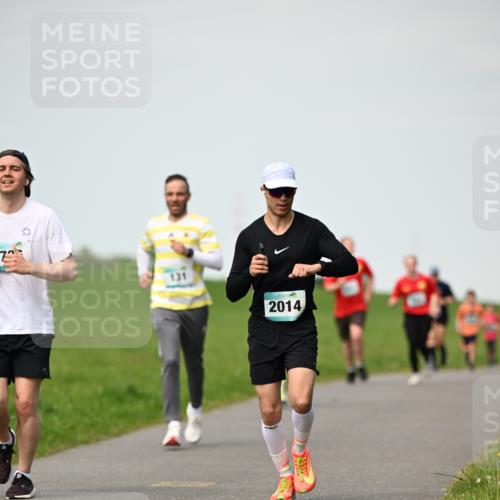 10.05.2026 - 8. Wedeler Halbmarathon Dr. Thomas Lammeyer http://msf.ph/oto/9695808 10.05.2026 11:22:08 Laufen 131, 2014 meine-sportfotos.de
