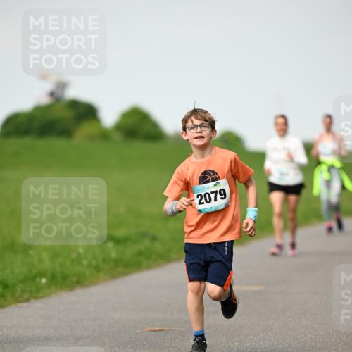 10.05.2026 - 8. Wedeler Halbmarathon Dr. Thomas Lammeyer http://msf.ph/oto/9695895 10.05.2026 11:22:28 Laufen 2079 meine-sportfotos.de