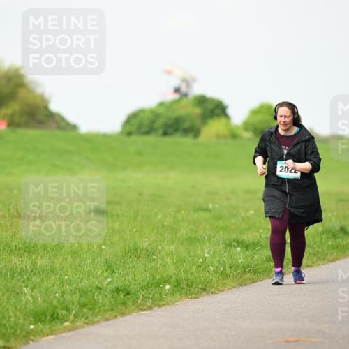 10.05.2026 - 8. Wedeler Halbmarathon Dr. Thomas Lammeyer http://msf.ph/oto/9696965 10.05.2026 11:27:25 Laufen 2022, 2059 meine-sportfotos.de