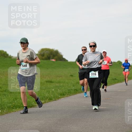 10.05.2026 - 8. Wedeler Halbmarathon Dr. Thomas Lammeyer http://msf.ph/oto/9697854 10.05.2026 11:30:47 Laufen 540, 310 meine-sportfotos.de