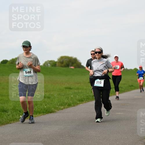 10.05.2026 - 8. Wedeler Halbmarathon Dr. Thomas Lammeyer http://msf.ph/oto/9697857 10.05.2026 11:30:47 Laufen 540, 310 meine-sportfotos.de