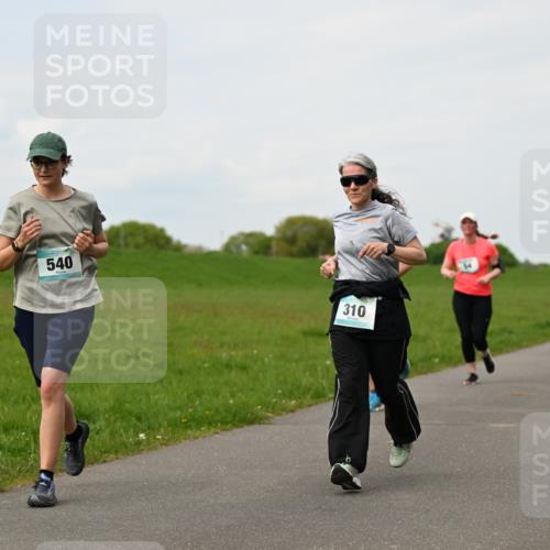 10.05.2026 - 8. Wedeler Halbmarathon Dr. Thomas Lammeyer http://msf.ph/oto/9697860 10.05.2026 11:30:48 Laufen 540, 310 meine-sportfotos.de