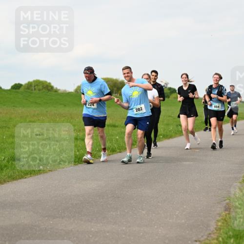 10.05.2026 - 8. Wedeler Halbmarathon Dr. Thomas Lammeyer http://msf.ph/oto/9699766 10.05.2026 11:38:02 Laufen 224 meine-sportfotos.de