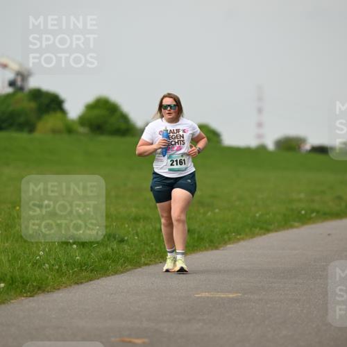 10.05.2026 - 8. Wedeler Halbmarathon Dr. Thomas Lammeyer http://msf.ph/oto/9701880 10.05.2026 11:45:17 Laufen 2161 meine-sportfotos.de