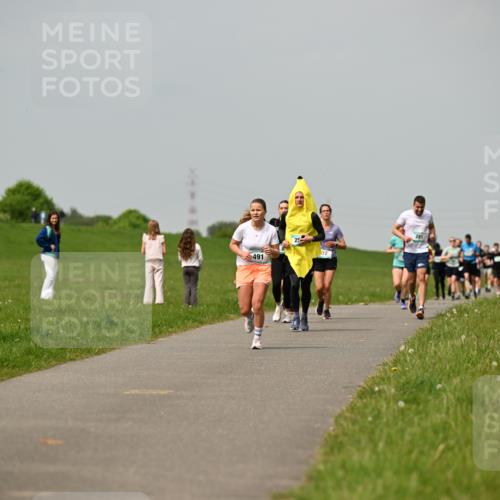 10.05.2026 - 8. Wedeler Halbmarathon Dr. Thomas Lammeyer http://msf.ph/oto/9703545 10.05.2026 11:50:25 Laufen 491, 281 meine-sportfotos.de