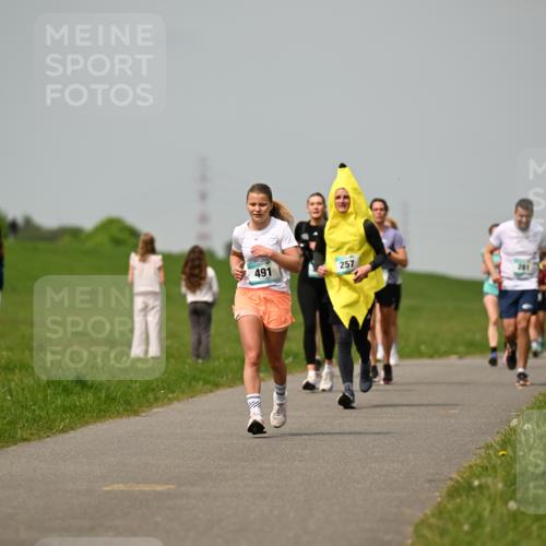 10.05.2026 - 8. Wedeler Halbmarathon Dr. Thomas Lammeyer http://msf.ph/oto/9703547 10.05.2026 11:50:26 Laufen 491, 257 meine-sportfotos.de
