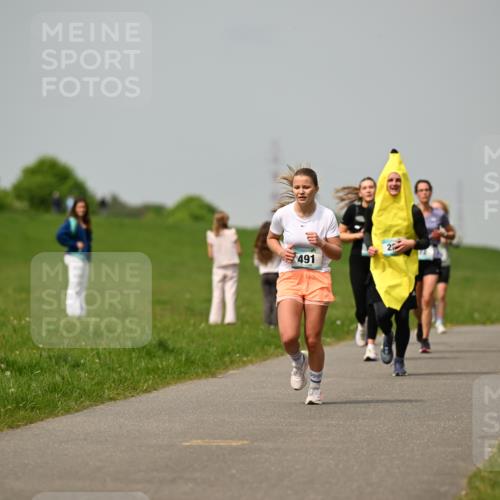 10.05.2026 - 8. Wedeler Halbmarathon Dr. Thomas Lammeyer http://msf.ph/oto/9703559 10.05.2026 11:50:26 Laufen 491 meine-sportfotos.de