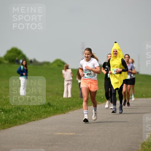 10.05.2026 - 8. Wedeler Halbmarathon Dr. Thomas Lammeyer http://msf.ph/oto/9703564 10.05.2026 11:50:26 Laufen 491, 201 meine-sportfotos.de