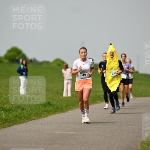 10.05.2026 - 8. Wedeler Halbmarathon Dr. Thomas Lammeyer http://msf.ph/oto/9703569 10.05.2026 11:50:27 Laufen 491, 257 meine-sportfotos.de