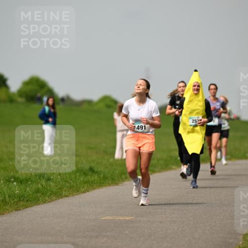 10.05.2026 - 8. Wedeler Halbmarathon Dr. Thomas Lammeyer http://msf.ph/oto/9703574 10.05.2026 11:50:27 Laufen 252, 201, 491 meine-sportfotos.de