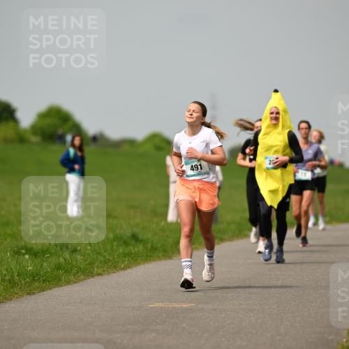 10.05.2026 - 8. Wedeler Halbmarathon Dr. Thomas Lammeyer http://msf.ph/oto/9703576 10.05.2026 11:50:27 Laufen 491 meine-sportfotos.de