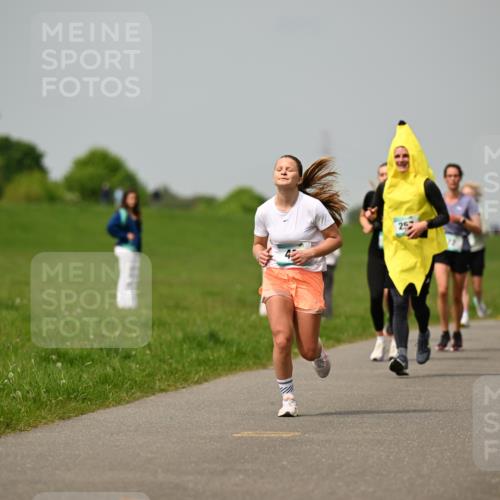 10.05.2026 - 8. Wedeler Halbmarathon Dr. Thomas Lammeyer http://msf.ph/oto/9703579 10.05.2026 11:50:27 Laufen 201 meine-sportfotos.de